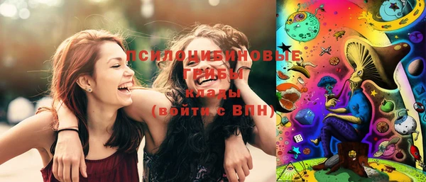 марки lsd Белокуриха