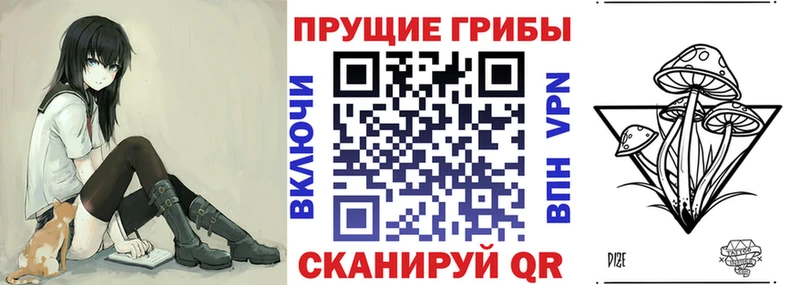 закладка  Саяногорск  Псилоцибиновые грибы Magic Shrooms 